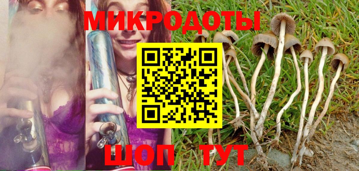 Галлюциногенные грибы Magic Shrooms Фурманов
